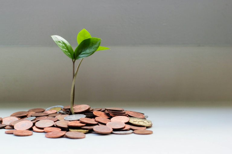 Finanza Personale e Side Hustles: Costruire la propria libertà economica nel 2024