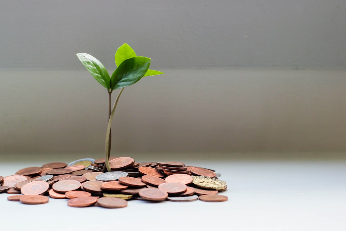 Tassi d'interesse in calo: come riorganizzare i risparmi e difendere la finanza personale nel 2025